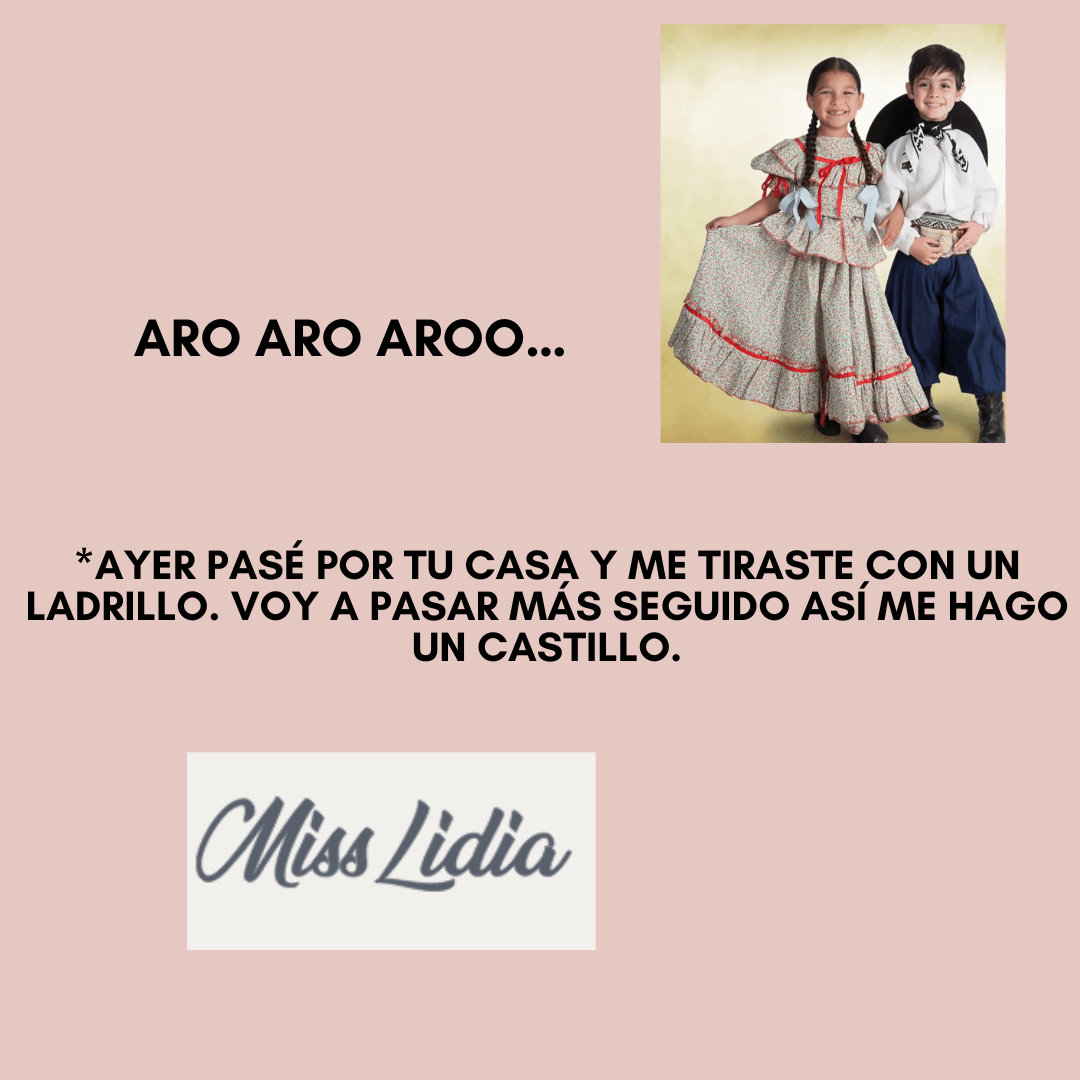 Relaciones gauchescas: ladrillo y castillo Fondo rosa claro con la foto de dos niños vestidos con ropa tradicional, uno con pollera y otro con bombacha, posando de frente. El texto dice “Aro aro aroo…” y una frase sobre un ladrillo y hacer un castillo.