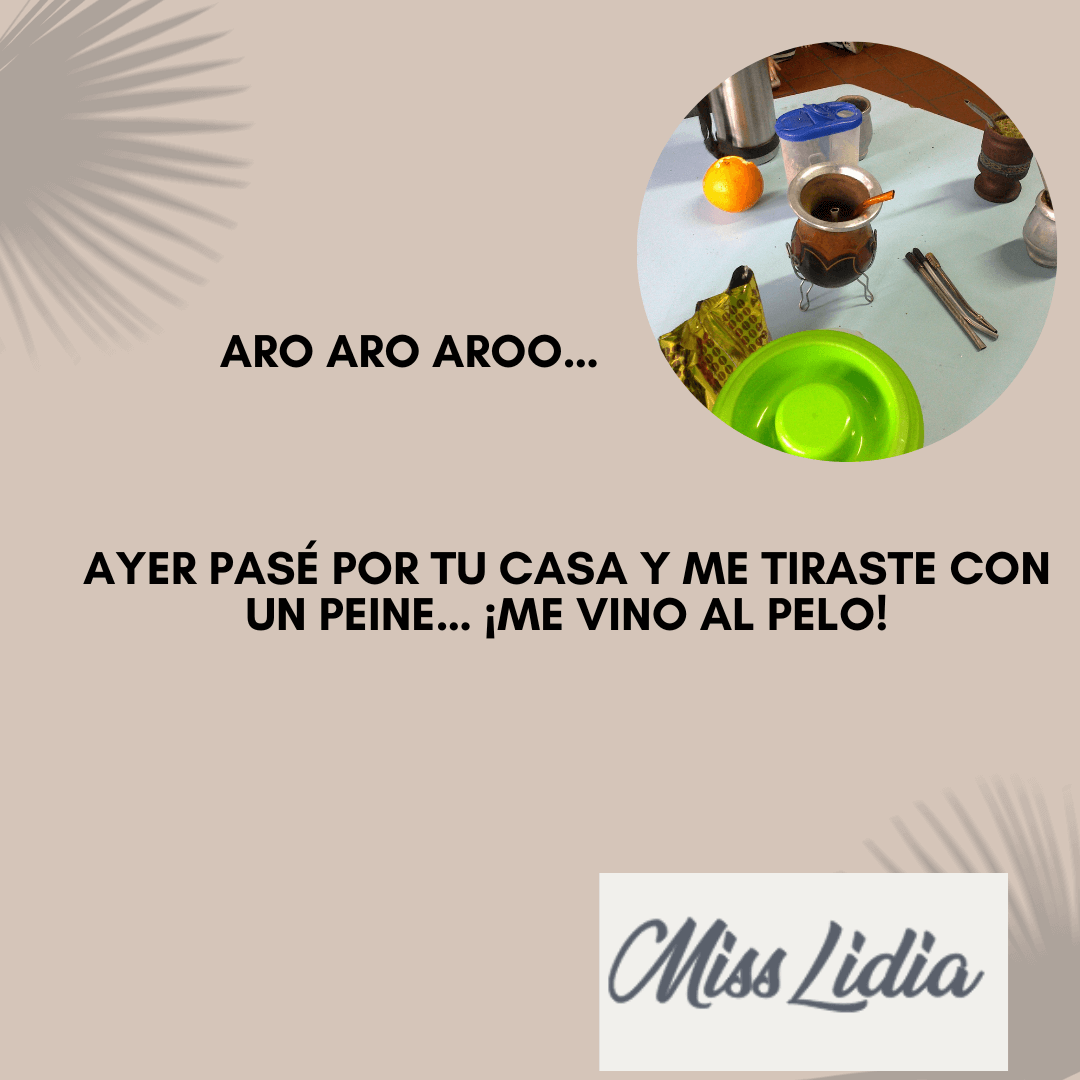 Relaciones gauchescas: la copla del peine Placa con una mesa de elementos del mate y una copla humorística que juega con recibir un peine y la expresión me vino al pelo.