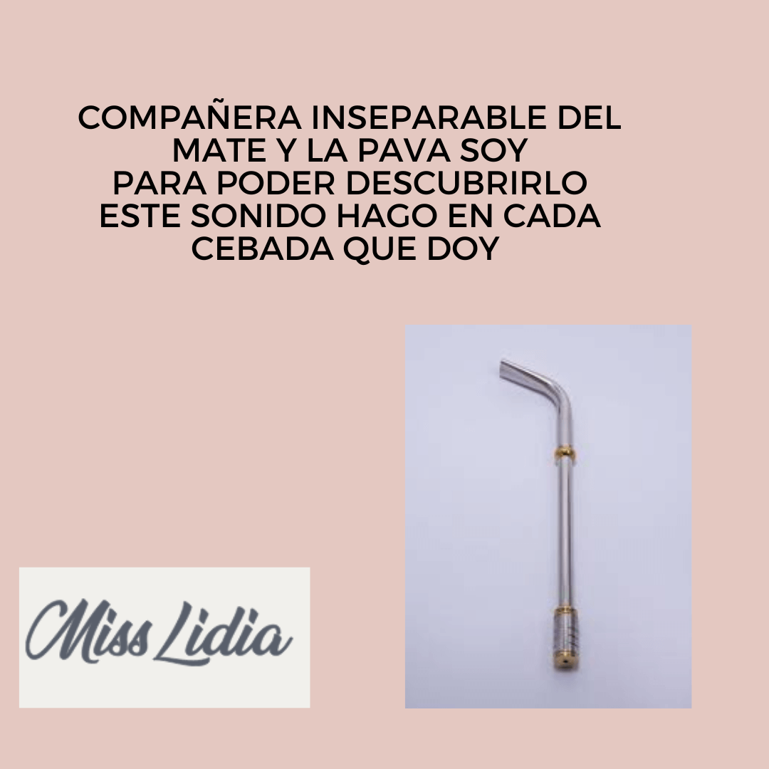 Adivinanza de la bombilla para el Día de la Tradición Placa con una adivinanza sobre la compañera del mate y la pava, acompañada por una fotografía de una bombilla.