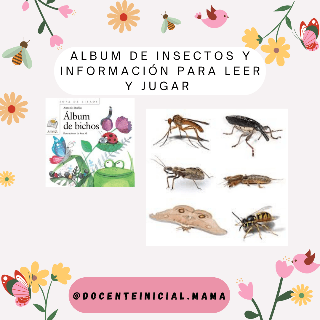 Álbum de bichos con libro y tarjetas de insectos Placa del proyecto Bichos con la tapa de un libro de insectos a la izquierda y varias imágenes de insectos a la derecha, sobre un fondo con flores y dibujos de animales.
