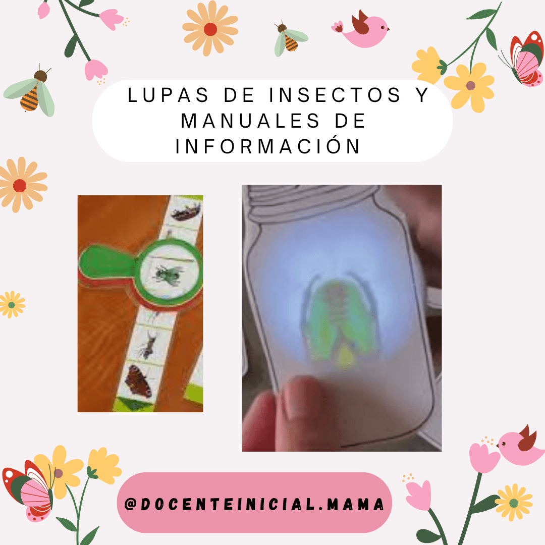 Lupas de insectos y manuales de información Placa con dos ejemplos de materiales didácticos: una lupa de insectos hecha a mano y una tarjeta iluminada con un dibujo de insecto, ambas sobre fondo decorado.