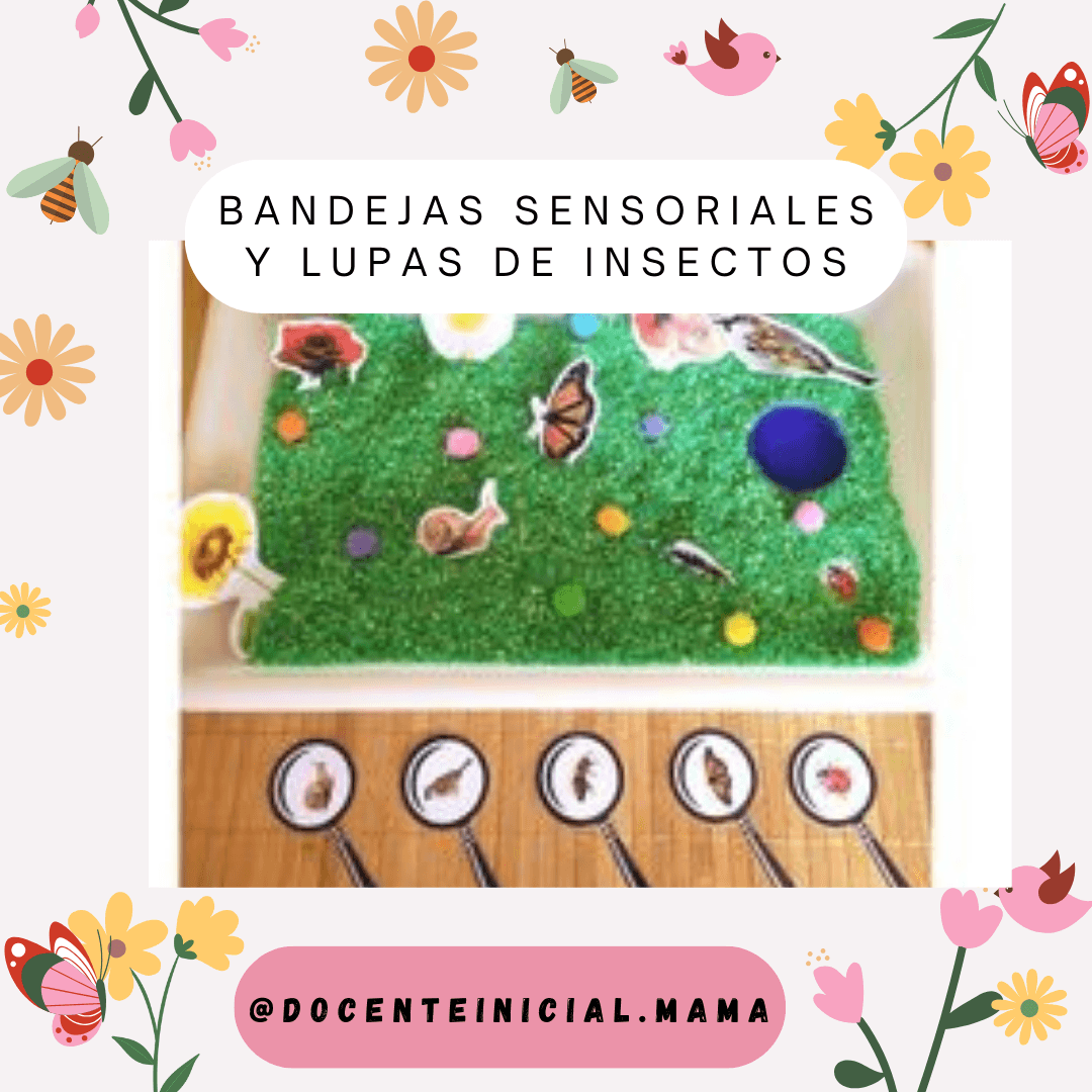 Bandeja sensorial y lupas para explorar insectos Placa que muestra una bandeja verde con figuras de insectos y, debajo, varias lupas circulares alineadas sobre una mesa de madera.