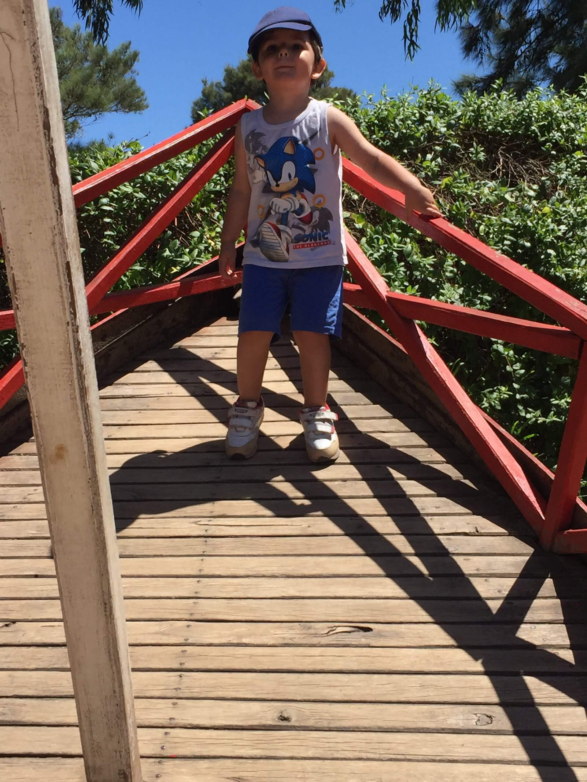 Indagación y curiosidad en el nivel inicial Un niño con gorra explora un puente de madera con barandas rojas, rodeado de árboles y vegetación.