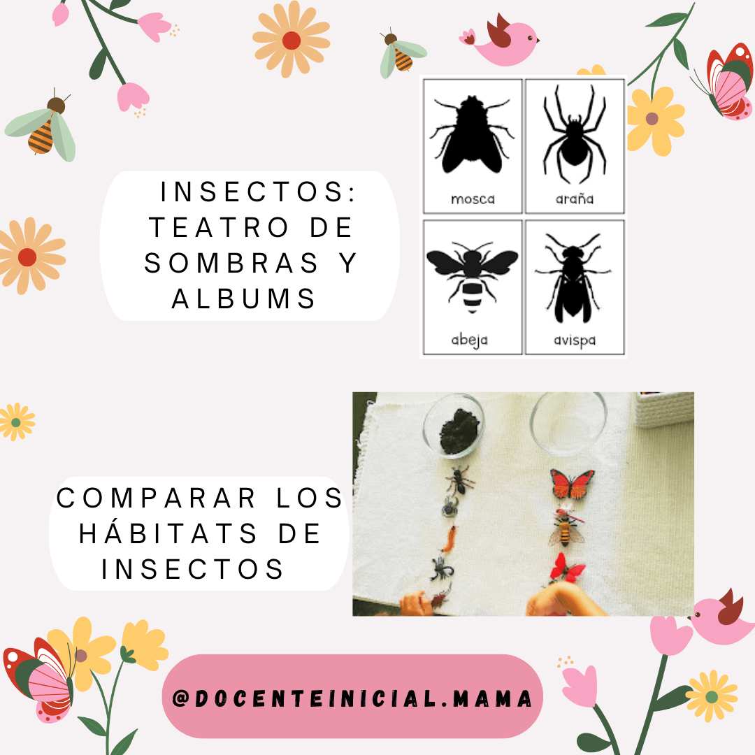 Bichos del jardín: teatro de sombras y comparación de hábitats Placa con siluetas de mosca, araña, abeja y avispa, junto a una foto de manos manipulando insectos de juguete o recortes para comparar hábitats en una mesa.