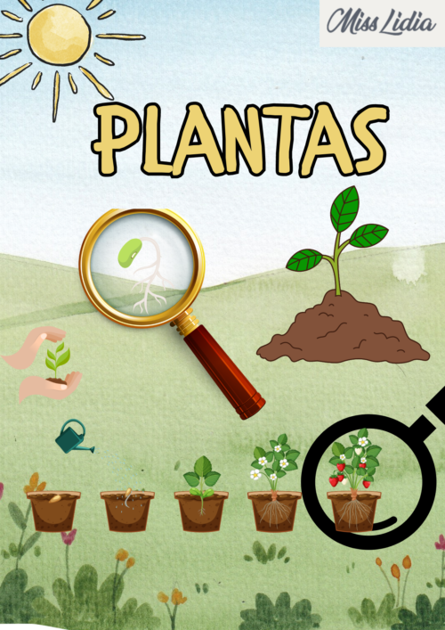 Actividades Educativas para Explorar el Mundo de las Plantas - Miss Lidia, Docente de Nivel Inicial