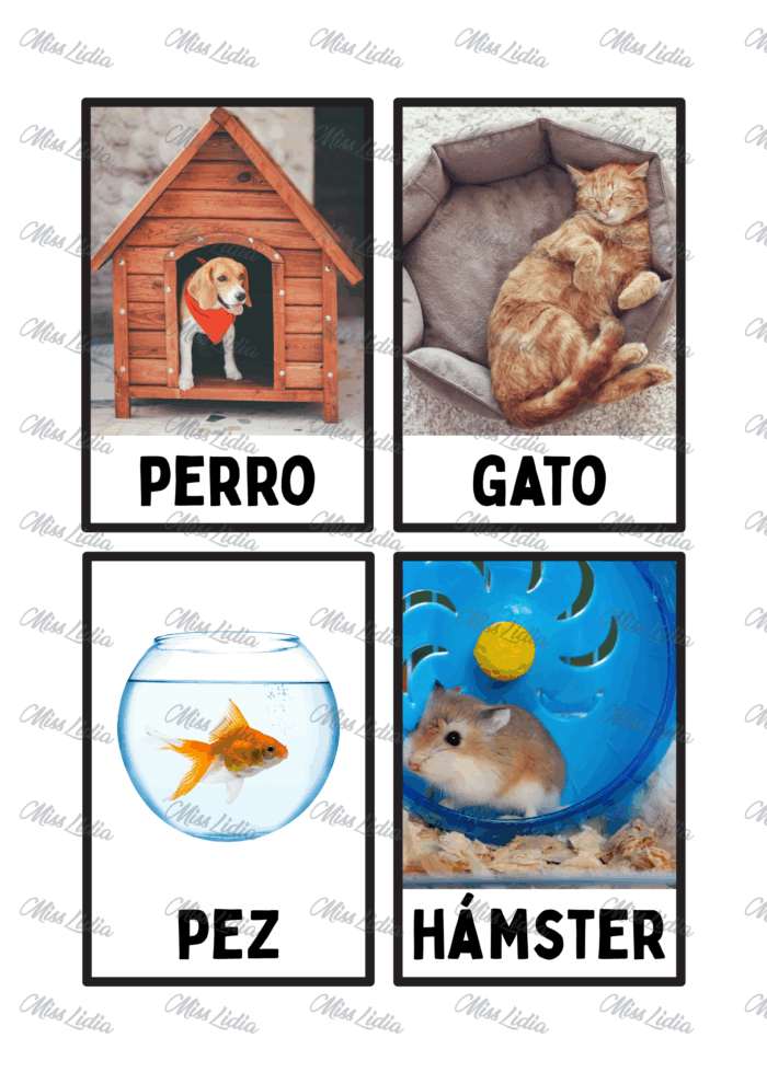 Secuencia Didáctica: Nuestros Animales del Hogar